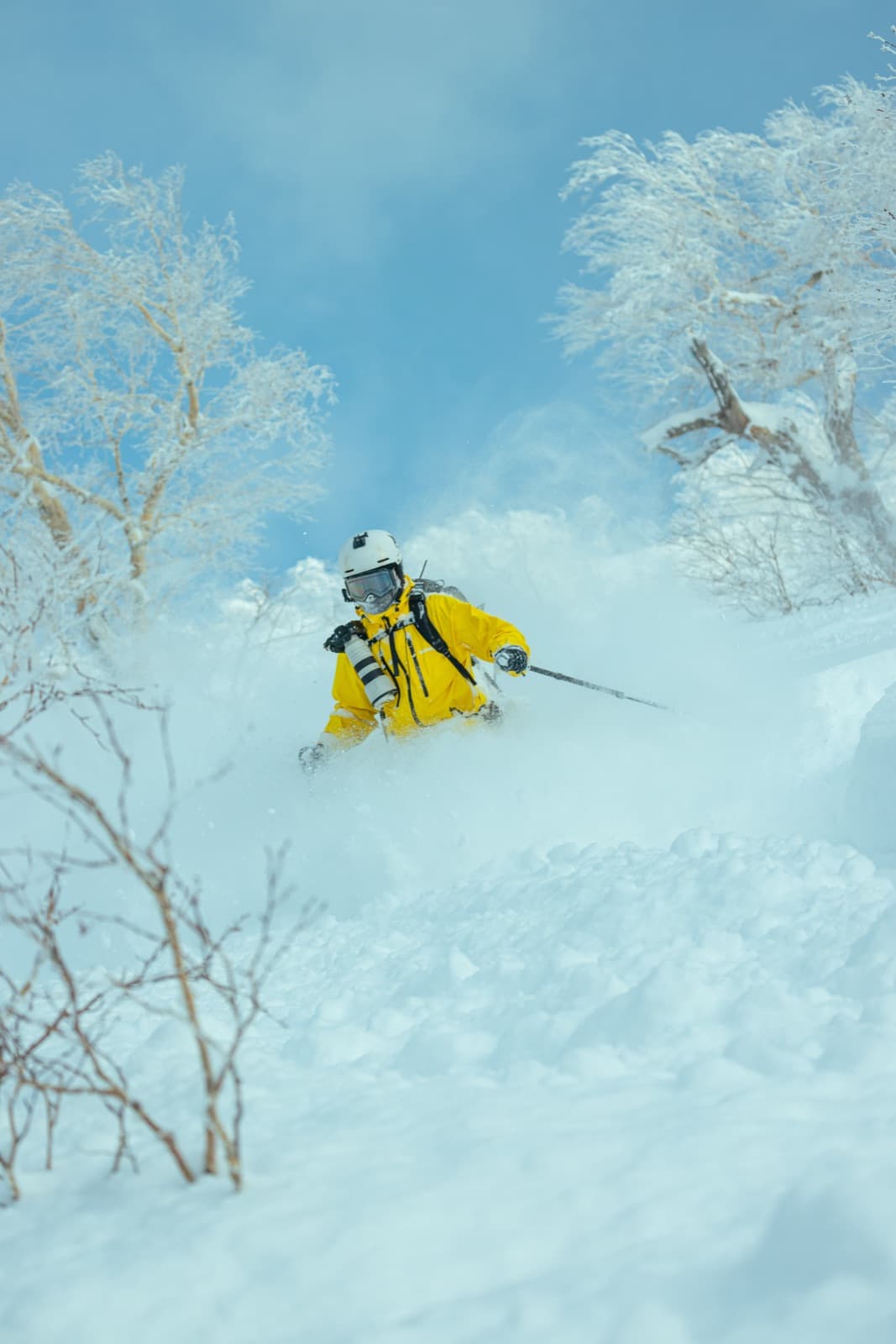 滑雪者在粉雪林間滑行